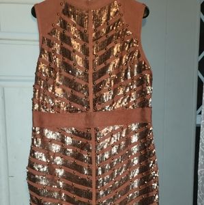 Fashion Nova Rose gold 2x dress